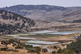 Image du Maroc Professionnelle de  Le barrage Oued El Makhazine, conçu pour le développement et  l'irrigation du périmètre du Loukkos. Ainsi les champs situés dans le triangle Ksar El Kébir, Larache, Moulay Bouselham profitent de cette infrastructure. Cette importante réalisation située sur El Oued Loukkos sert à la régularisation inter annuelle des débits tout en formant une protection contre les crues, au Jeudi 1er Septembre 2005 à cette datte le barrage dispose 309 Million de M3. (Photo / Abdeljalil Bounhar) 